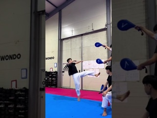 Taekwondo 540 kick