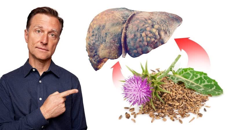 THIS Herb is the, 1 Absolute BEST for liver diseases ( Fatty Liver, Hepatitis and