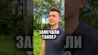 Важное наблюдение