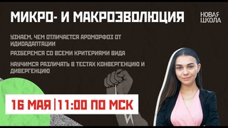 НШ | Биология. Микро- и макроэволюция