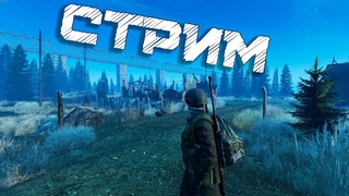 УСПЕШНЫЙ DAYZ   / ЛАГАЕТ ГО НА ТВИЧ #stream
