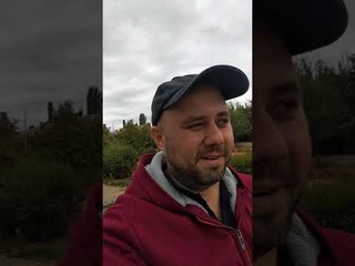 СТАЛИНГРАД. ОСТРОВ ЛЮДНИКОВА-I.