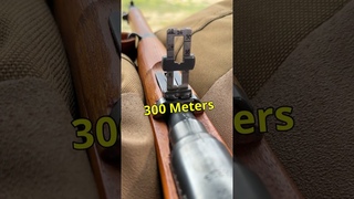 Bolt Action Garand (PING)
