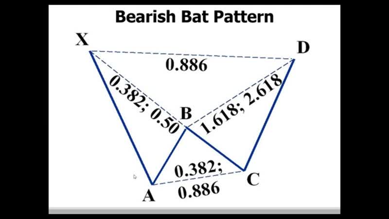 Scott Carney Harmonic