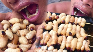 Primitive Culture: Survival Cooking Coconut Worms on a Rock for Lunch in the Forest