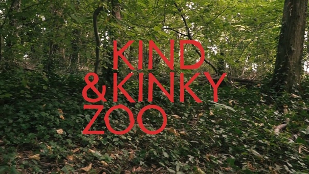 KIND KINKY ZOO HURRICANE TRAIN ( SOULBRIGADA REMIX)