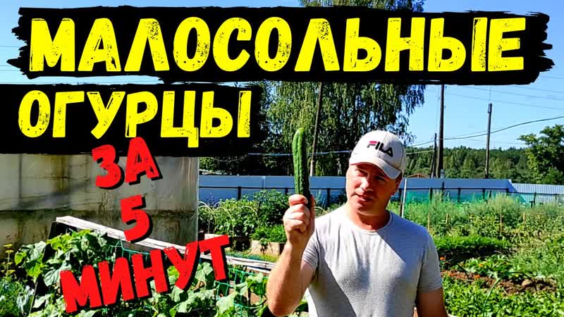 Малосольные Огурцы Быстрого Приготовления, , Cucumber Salad Fast