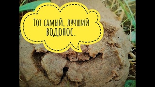 Идеальное место, превосходный песок для АБИССИНСКОЙ СКВАЖИНЫ.