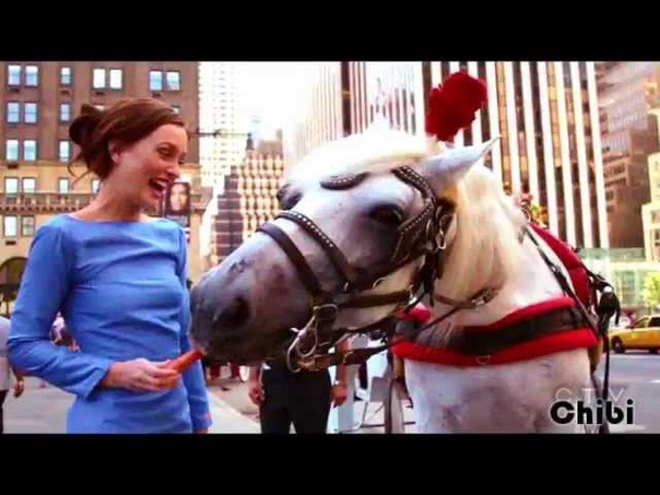 Blair Waldorf Thats Not My