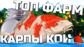 ЛУЧШАЯ ТОП - СБОРКА НА МЕДНОМ ОЗЕРЕ ДЛЯ ФАРМА СЕРЕБРА НА КАРПАХ КОИ!