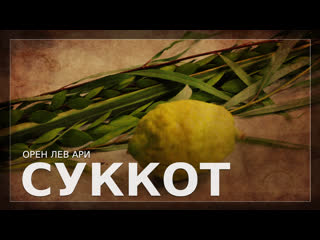 Суккот | Орен Лев Ари