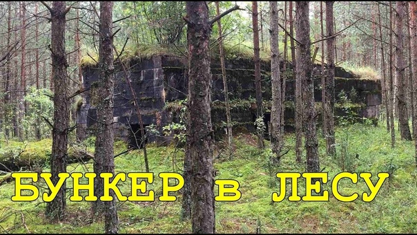 КОП по ПЕРВОЙ МИРОВОЙ. Нашли бункер в лесу и оборона