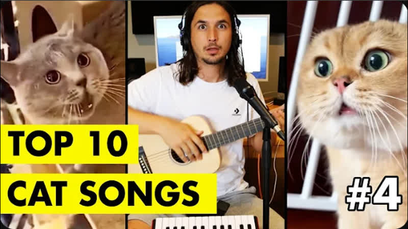 Top 10 Cat Songs by The