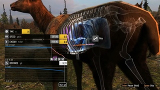 Охота с луком 20-ый выпуск Cabela’s Big Game Hunter Pro Hunts