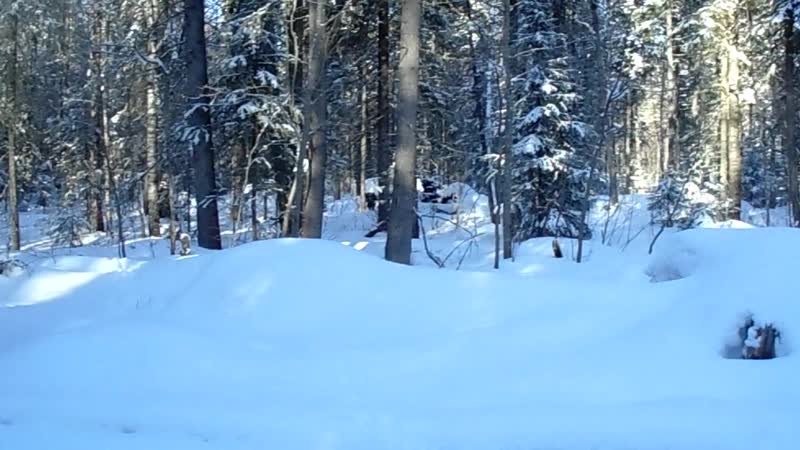 Утренная