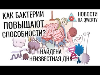 Ум из-за бактерий. Каплевидная звезда. Неизвестная ДНК. Цунами от Чиксулуба. Новости QWERTY №179