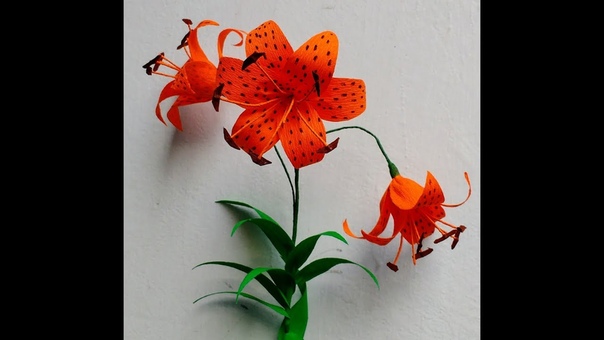 How to make Crepe Paper Flowers Tiger Lily, Lilium lancifolium ( flower,