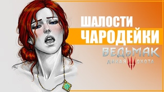 ШАЛОСТИ ТРИСС МЕРИГОД с ВЕДЬМАКАМИ | 10 Фактов о Трисс, которые вы могли упустить в Ведьмак 3