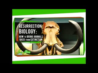 Resurrection Biology: How to Bring Animals Back From Extinction