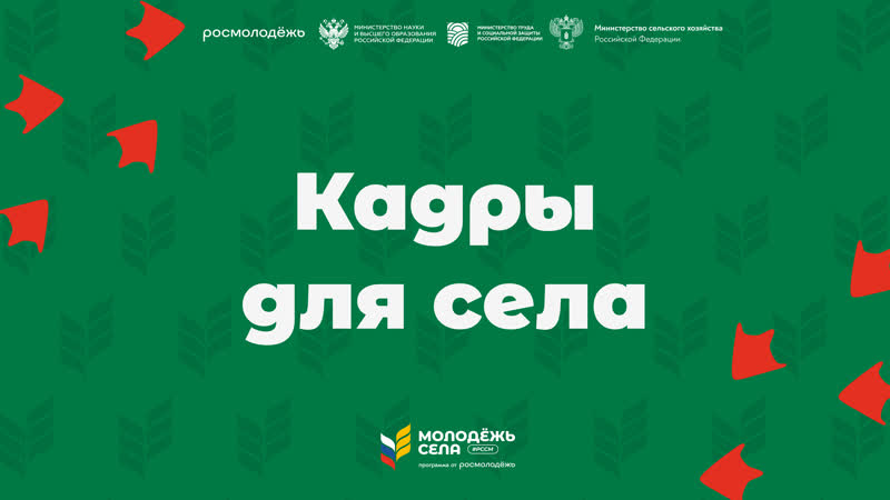 Запуск всероссийской программы Кадры для