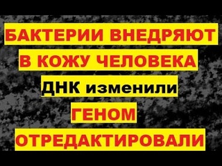 Бактерии внедряют в кожу человека. ДНК изменили. Генная инженерия. Акне прыщи сыпь угри Эксперименты