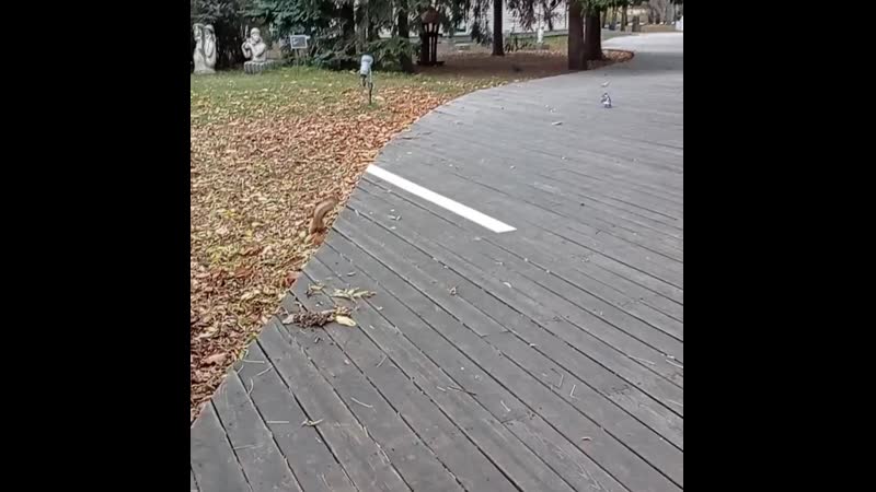 VID_140910615_000445_953.mp4
