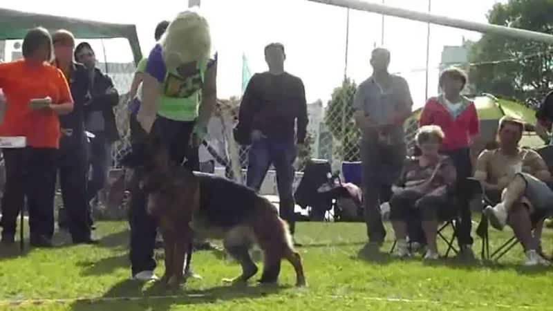 Рабочий класс сук Описание класса, Russian Siegerschau