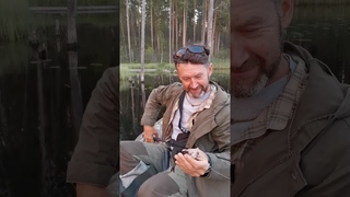 жадный окунишка #shorts