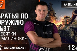 Десятки в Малиновке. Братья по оружию №37