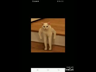 android_video_1588962802162_HD.mp4