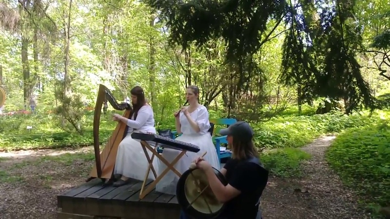 Irish polkas: Toureendarby, Nell Mahoneys, Dragon Fly, celtic harp, tin whistle irish