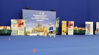 31 марта 2024 г., СПб. Танцы с собаками. Выступает Елена Чиж (Санкт-Петербург)