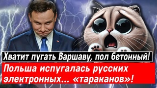 Хватит пугать Варшаву, пол бетонный! Польша испугалась русских электронных… «тараканов»!