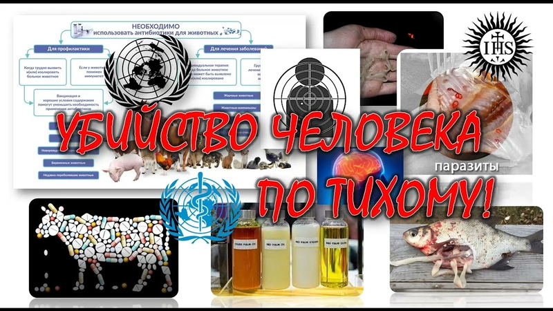 УБИЙСТВО ЧЕЛОВЕКА ПО