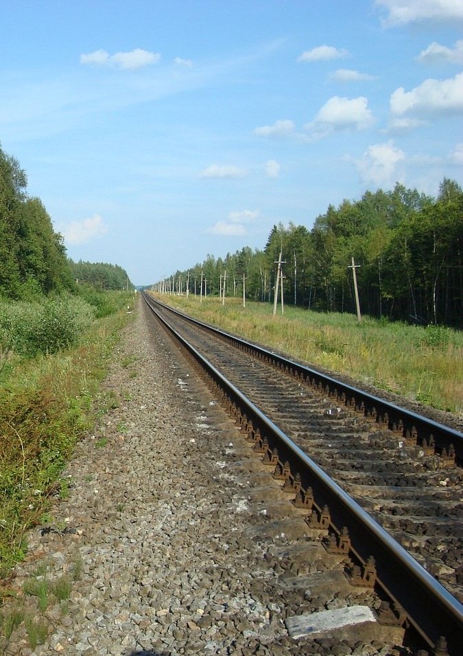 Андрій Сервер | 