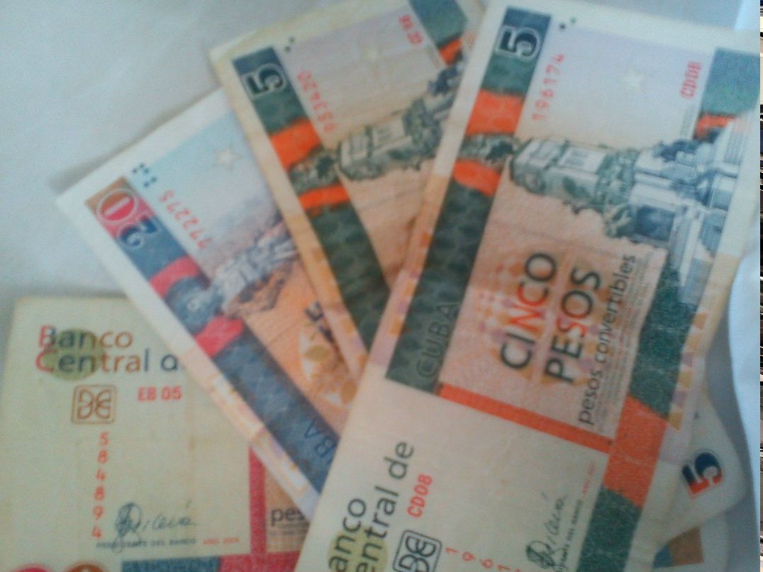 Дарья Шахова | Санкт-Петербург