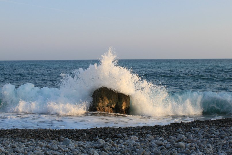 Катя Шереметева ***Grenouille heureuse*** | Nice