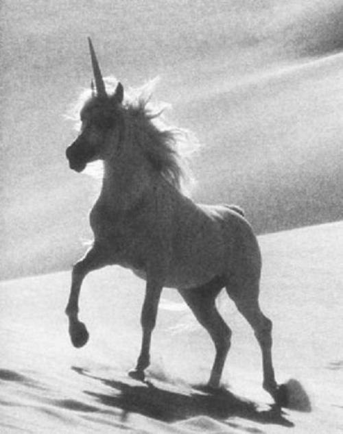 Наталья Донцова | Ростов-на-Дону