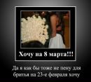 Фотография Ромашка Радуга