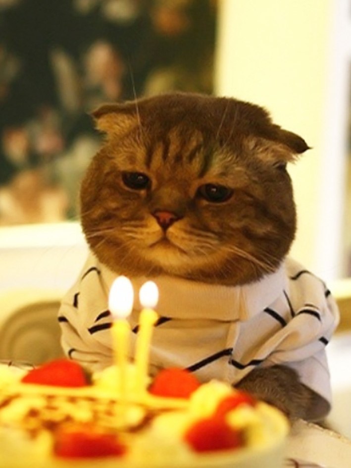 Вика Колотыгина | Сургут