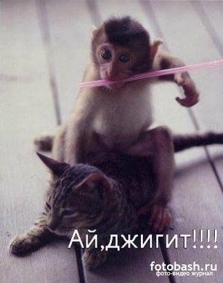 Эмир Дадабаев | Алматы