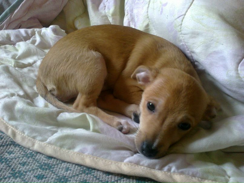 Елена Кабанова Александровна | Фурманов