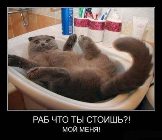 Dimjke Бычков | Москва