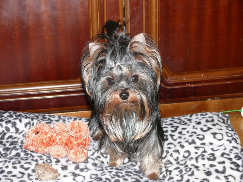 Ирина Евенко | 