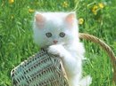 Фотография Калюжной Ирины