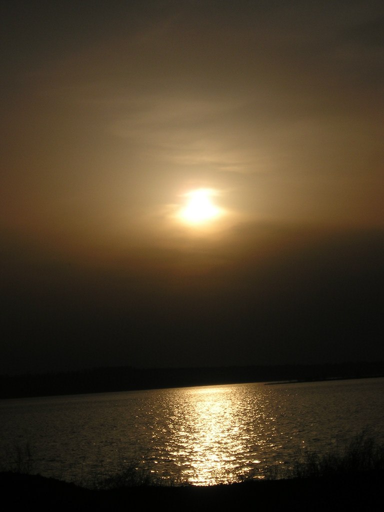 Алексей Браганец | Николаев