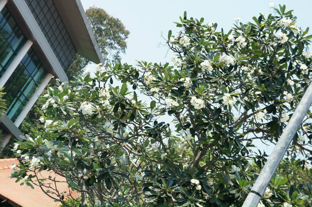 Анюта Кудряшка ✿ ܓs*iy ✿ ܓ | Новосибирск