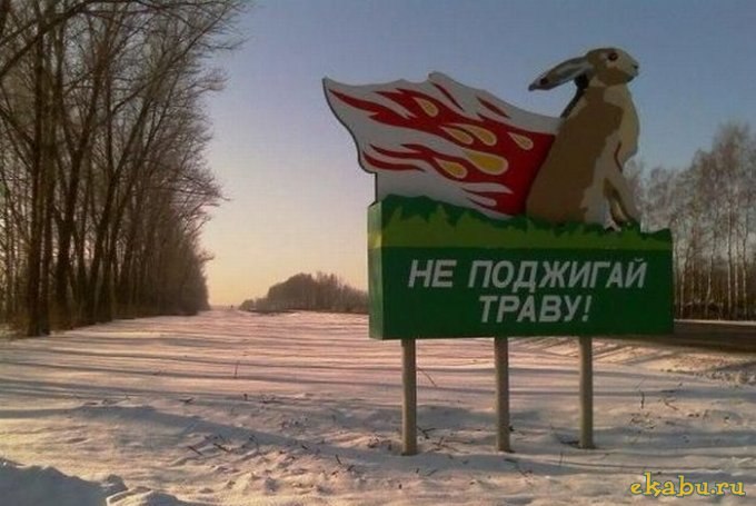 Вовчик Масливец | Черновцы