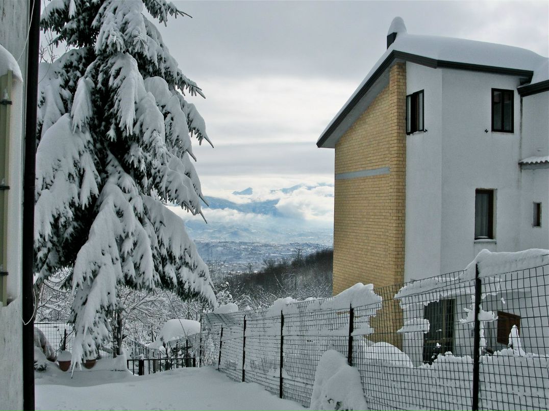 Alina Makarova | Харьков