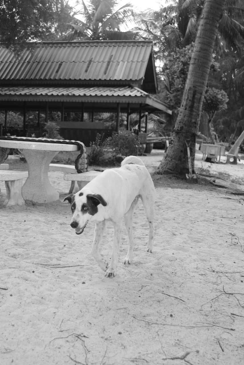 Роман Карасик | Москва